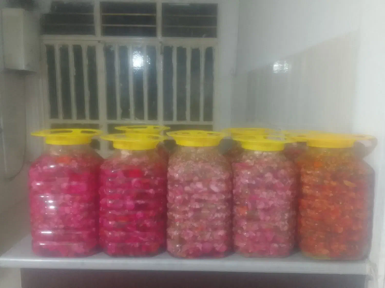 انواع ترشی خانگی|خوردنی و آشامیدنی|پاکدشت, پاکدشت (مامازند)|دیوار