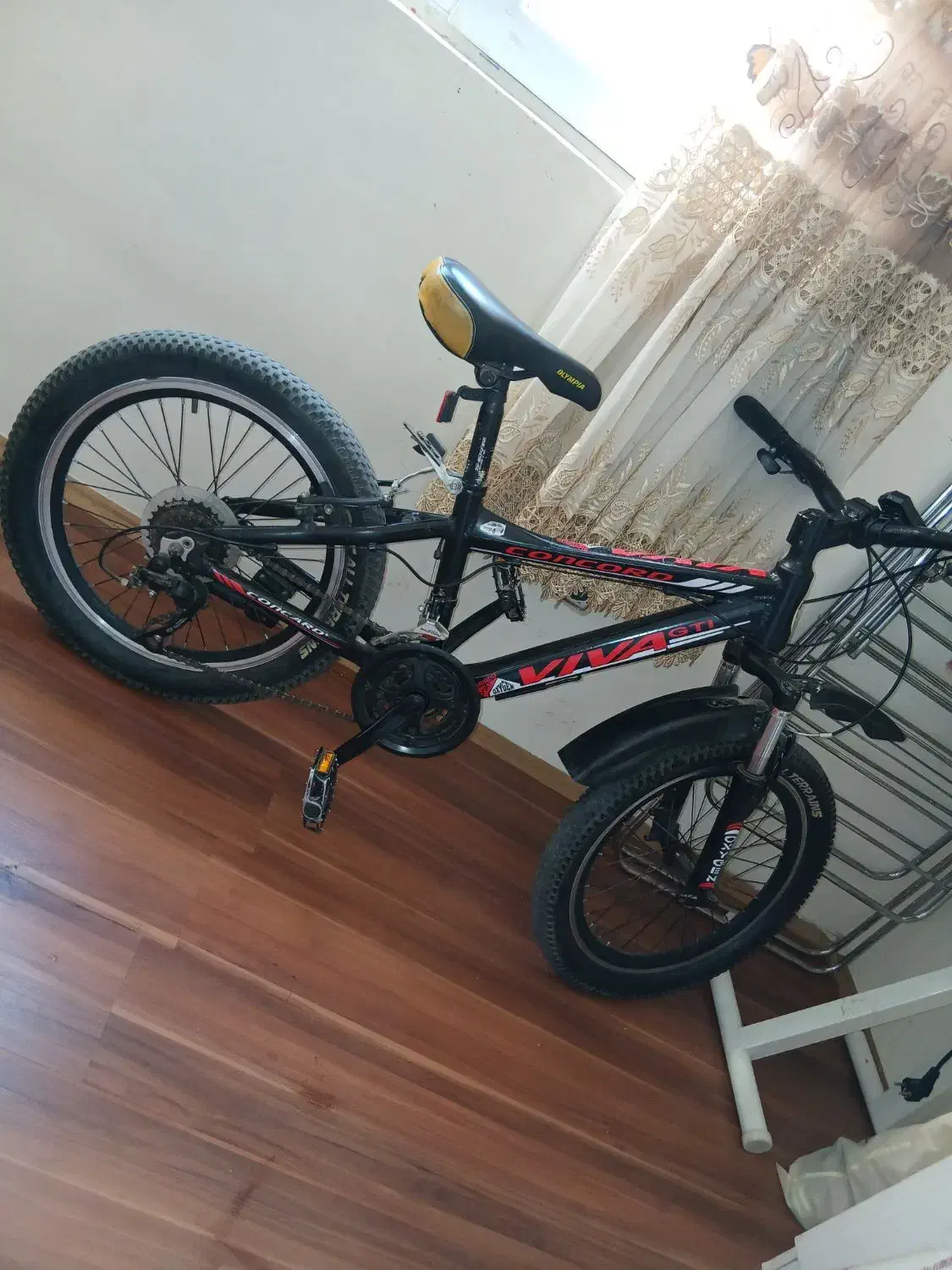 دوچرخه20 برند ویوا|دوچرخه، اسکیت، اسکوتر|پرند, فاز ۱|دیوار