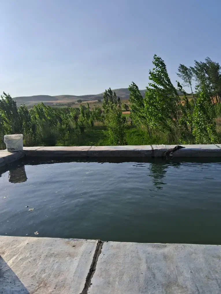 فروش باغچه ۵۰۰ متری سند تک برگ|فروش زمین و ملک کلنگی|خلخال, |دیوار