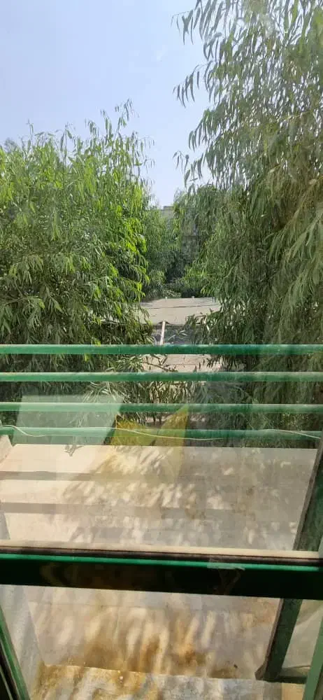 اجاره آپارتمان وویلا|اجارهٔ کوتاهمدت ویلا و باغ|کیش, |دیوار