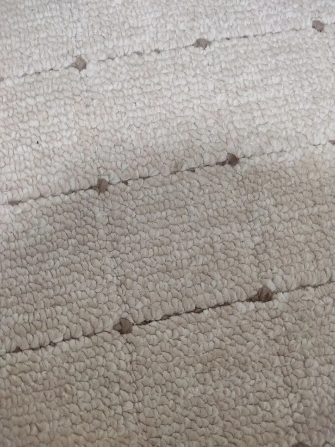 موکت 9 متری|موکت|کرج, باغستان|دیوار