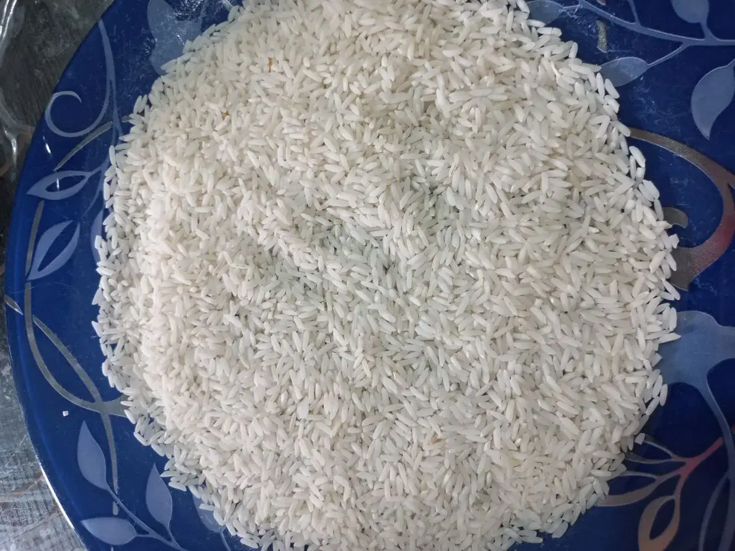 برنج هاشمی پاکوتاه|خوردنی و آشامیدنی|ساری, |دیوار