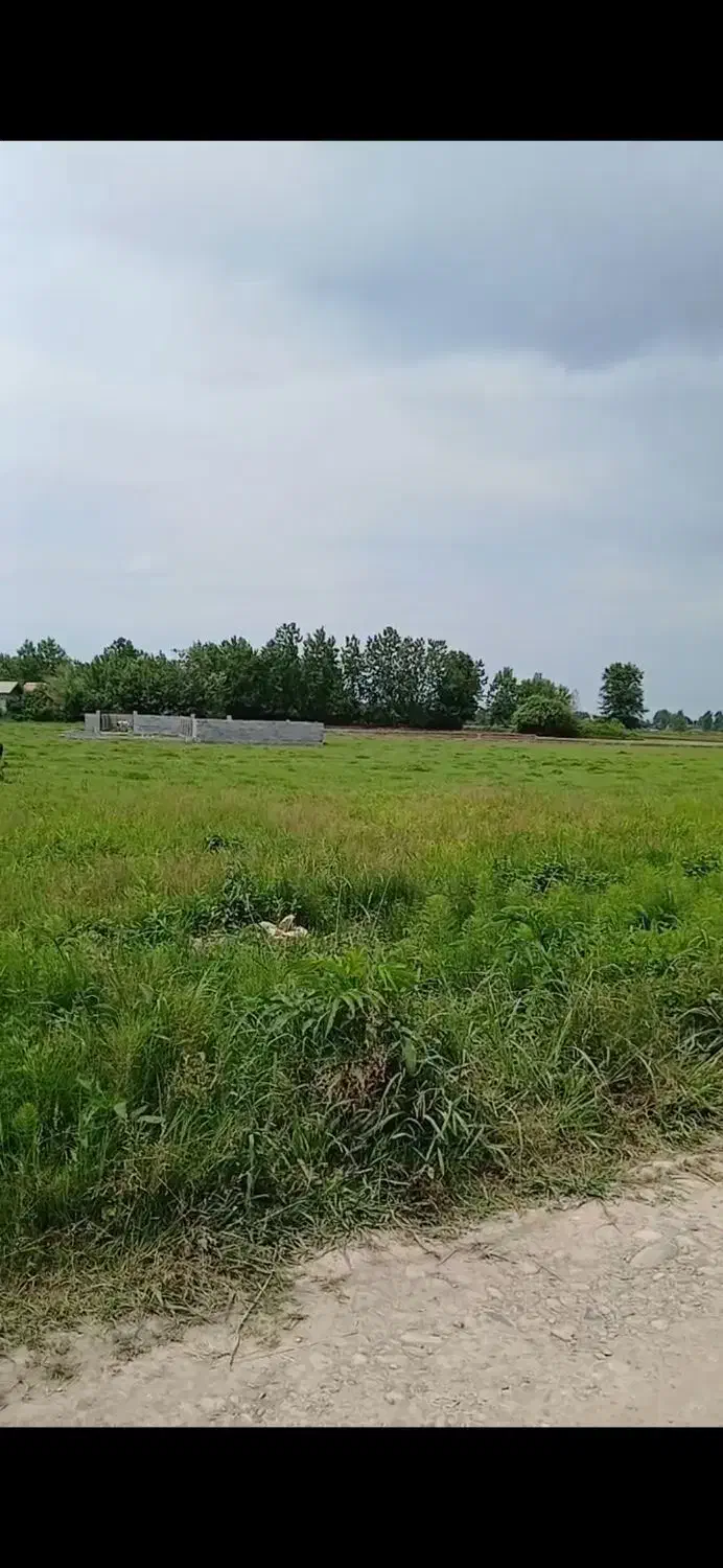 فروش و معاوضه زمین مسکونی / شهر لولمان|فروش زمین و ملک کلنگی|لولمان, |دیوار