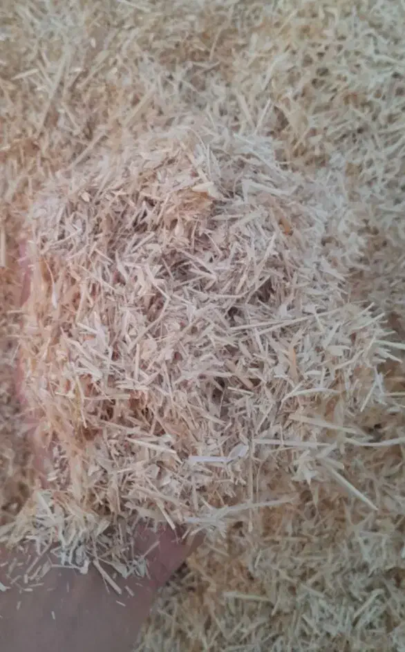 کاه گل گندم سرخوشه بشرط کردستان|حیوانات مزرعه|زارچ, |دیوار