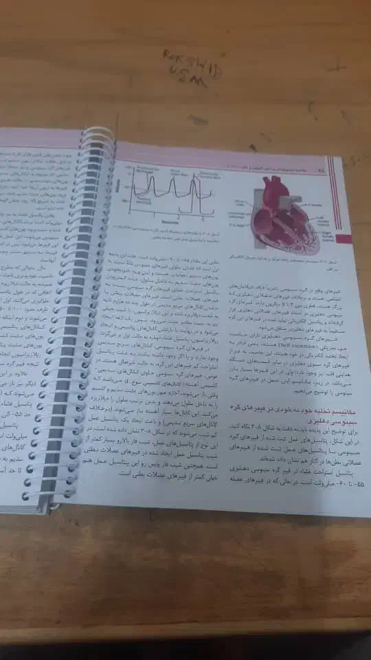 کتاب کنکور تجربی ۱۴۰۳|کتاب و مجله آموزشی|شیراز, صاحب الزمان|دیوار