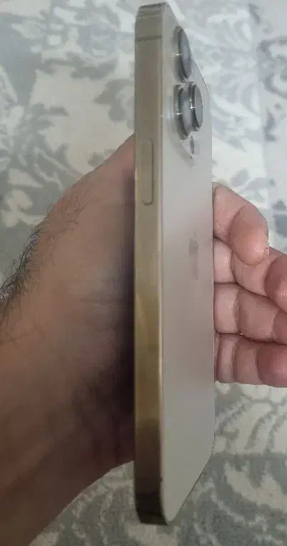 آیفون ۱۳ پرو|موبایل|مشهد, تربیت (صدف)|دیوار
