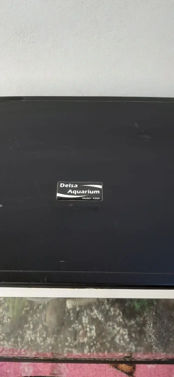 آکواریوم دلسا k 500|ماهی|گرگان, |دیوار
