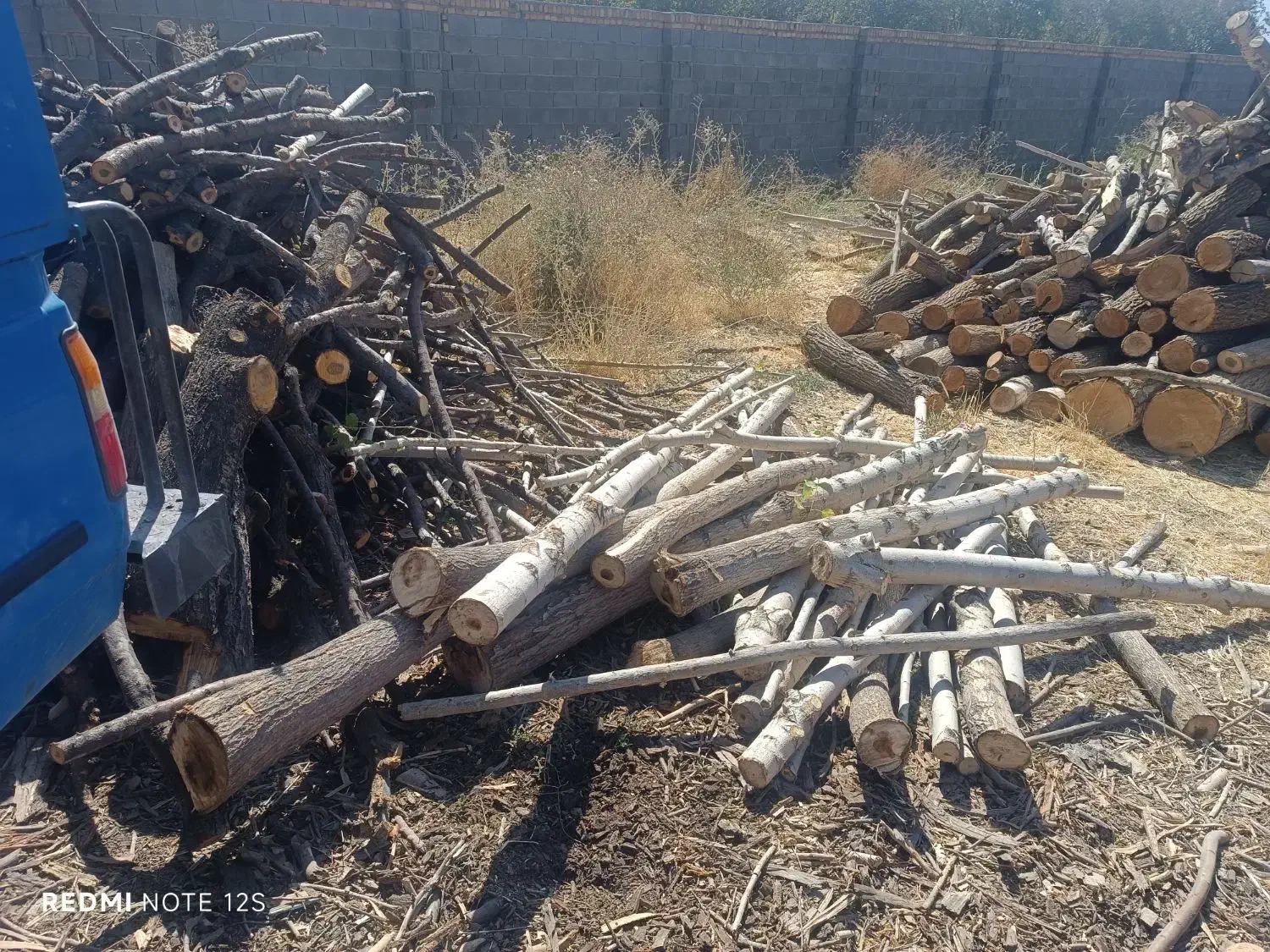 چوب درختان|گل و گیاه طبیعی|بروجرد, |دیوار