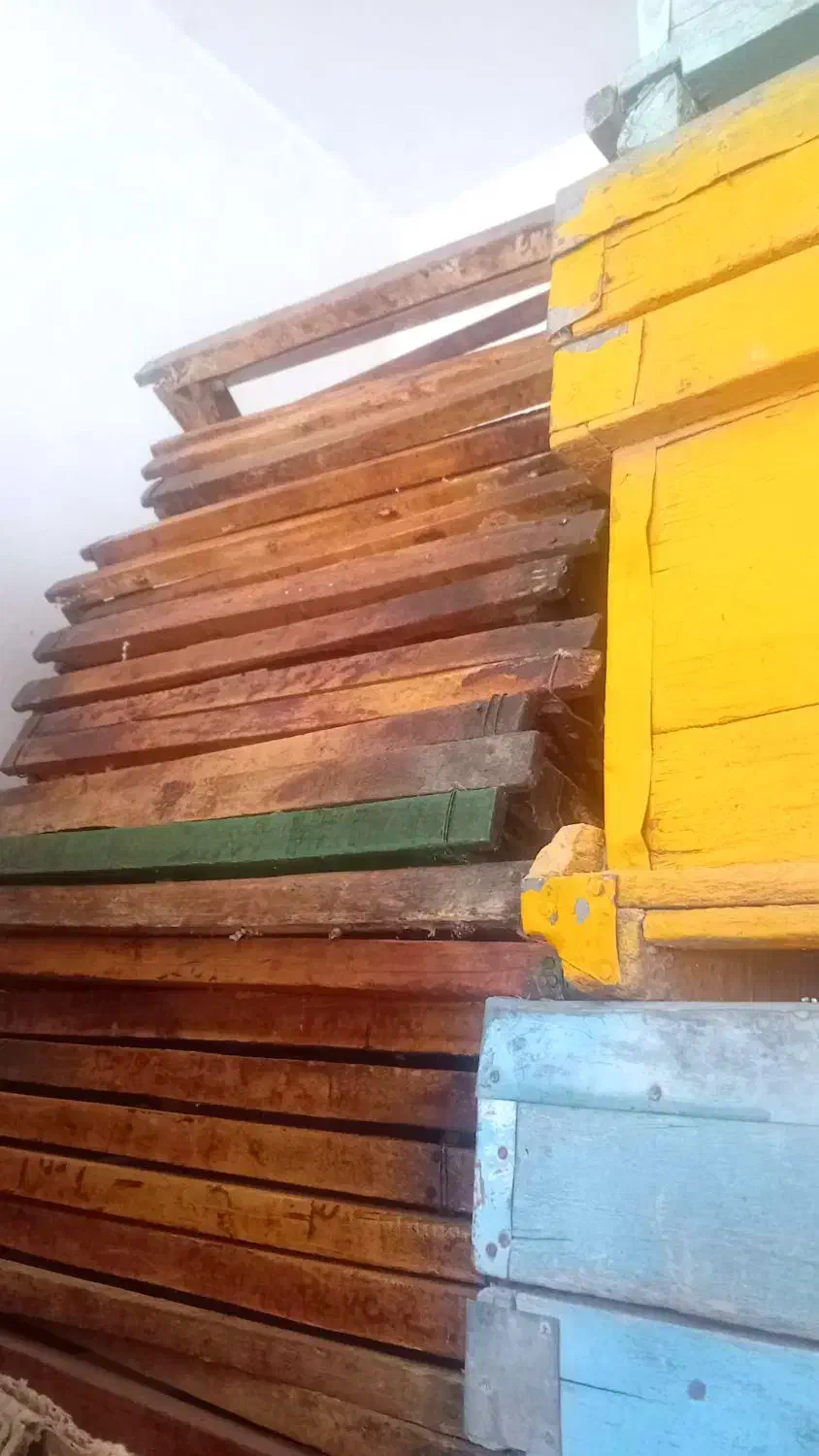 کندو تمیز رنگ‌دار|حیوانات مزرعه|دهدشت, |دیوار