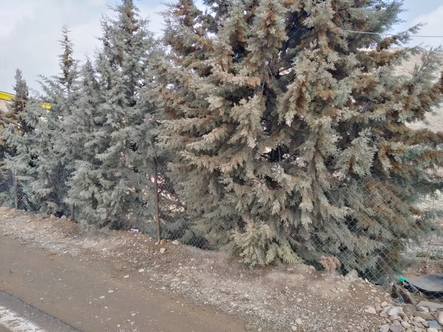 فروش ملک240متری|فروش زمین و ملک کلنگی|سرخه حصار, |دیوار