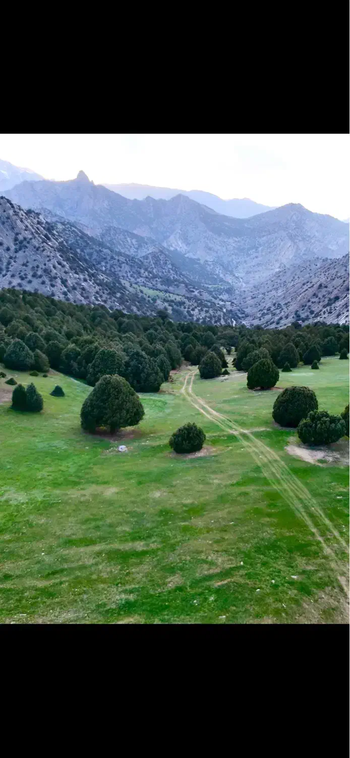 تور هزارمسجد کلات نادری به همراه خودرو آفرود|تور و چارتر|مشهد, شاهد (شهرک غرب)|دیوار
