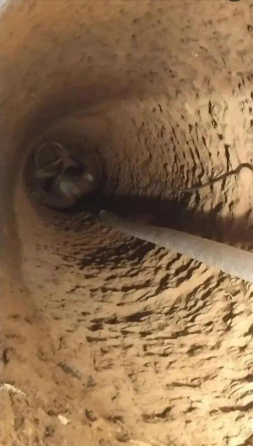 چاه کن و حفر انواع چاه های داخل شهری|خدمات پیشه و مهارت|یزد, |دیوار