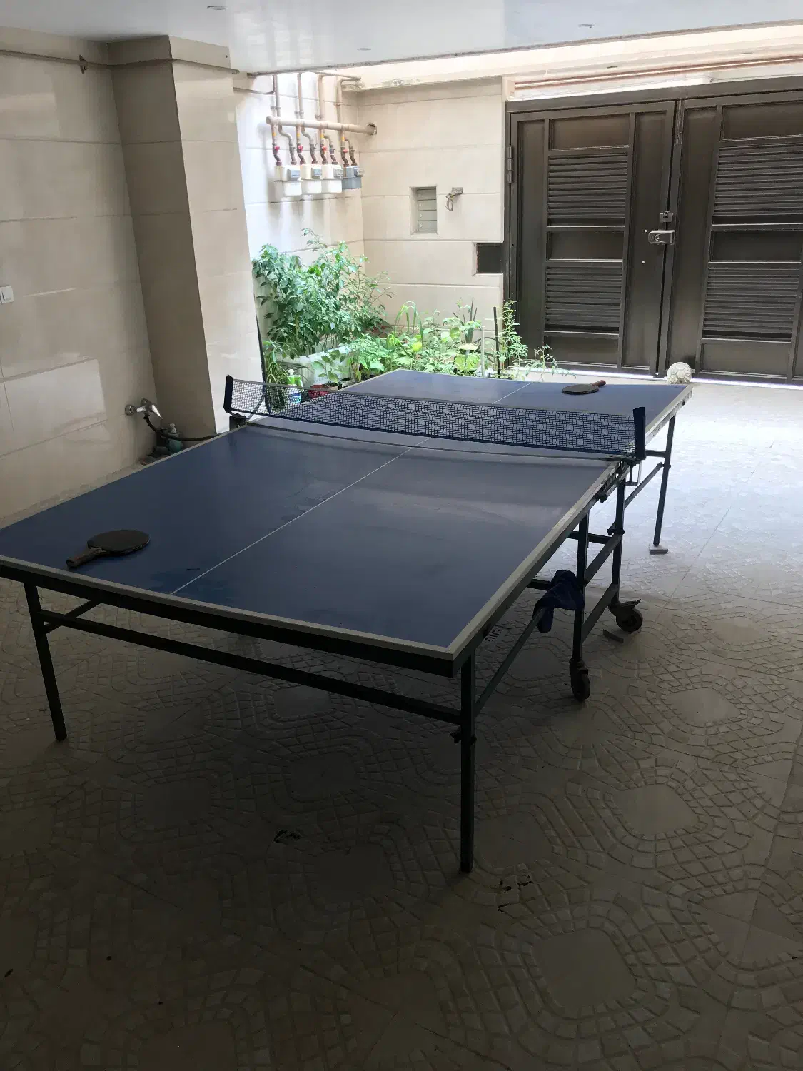 میز پینگ پنگ|ورزشهای توپی|قائمشهر, |دیوار