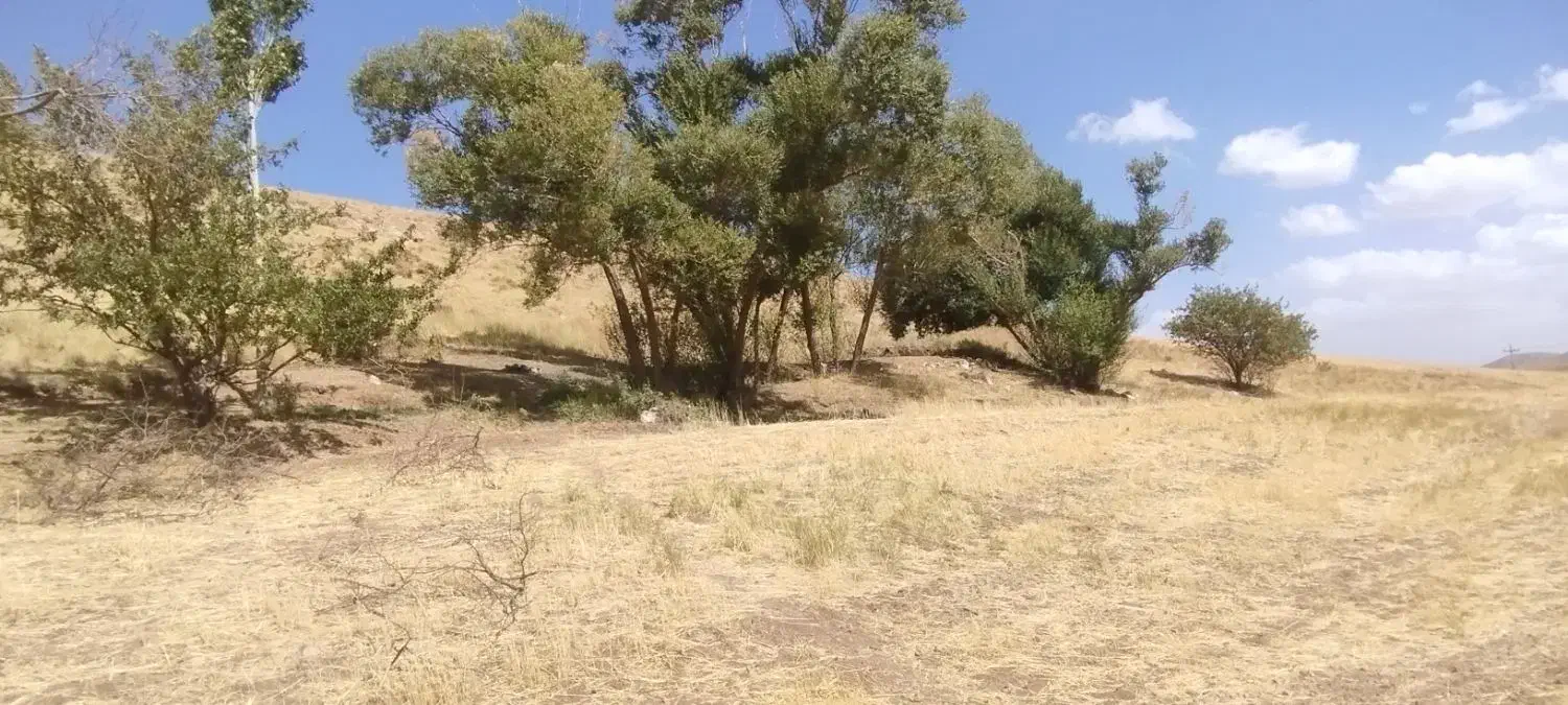 زمین کشاورزی مزرعه|فروش دفتر صنعتی، کشاورزی، تجاری|خرقان, |دیوار