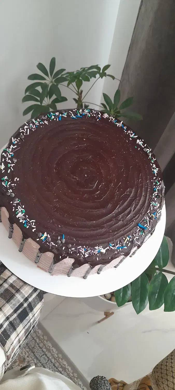 کیک خونگی|خوردنی و آشامیدنی|مهاجران, |دیوار