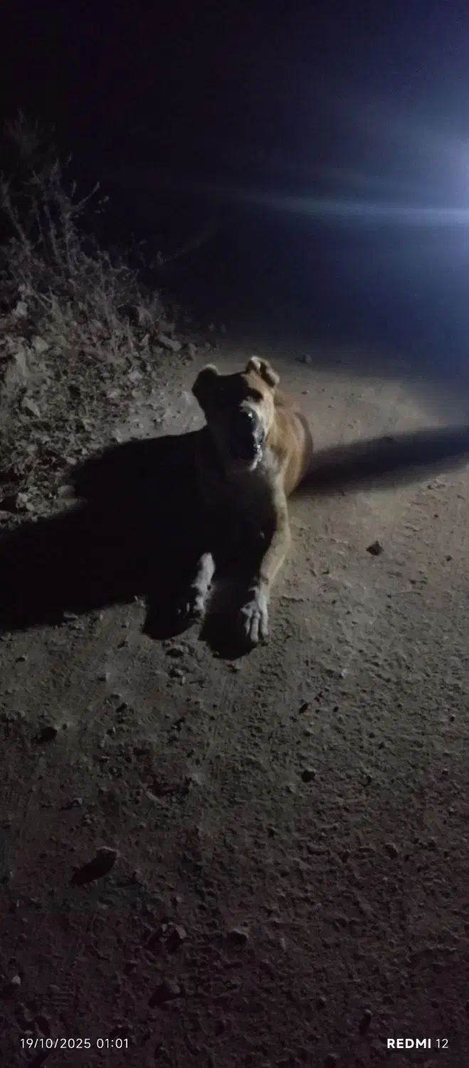 توافقی|فعالیت داوطلبانه|آشخانه, |دیوار