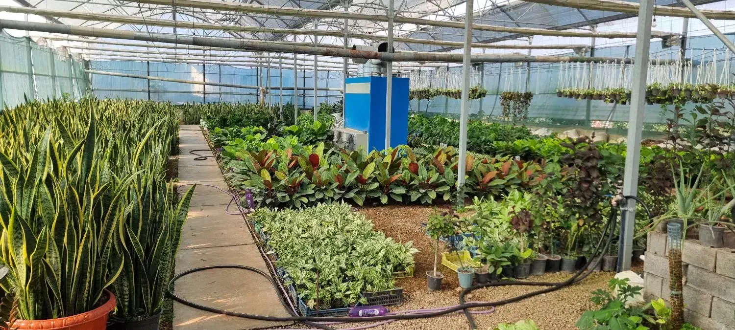 گل طبیعی|گل و گیاه طبیعی|کلاردشت, |دیوار