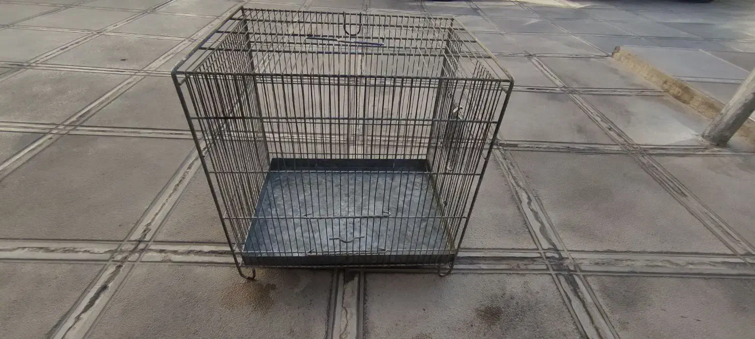 دوتا قفس غلامی، جفت تل|لوازم جانبی حیوانات|ایلام, |دیوار