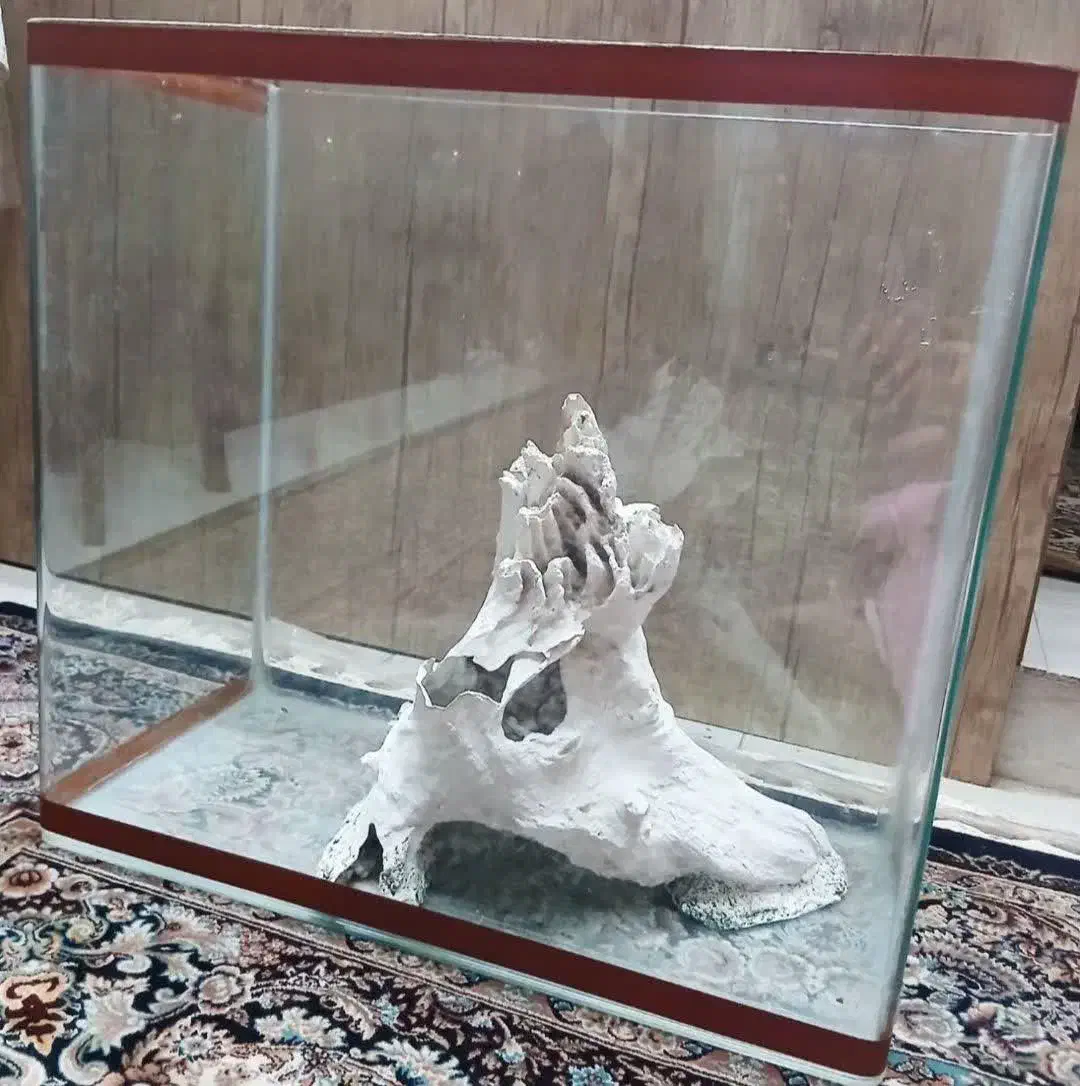 اکواریوم شیشه خم|ماهی|فردیس, فردیس|دیوار