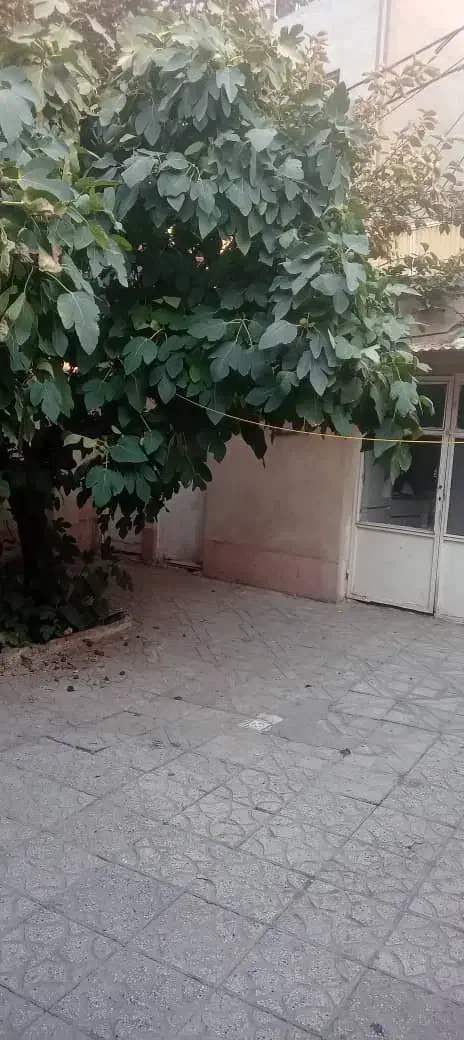 خونه ویلایی دربست و مستقل|اجارهٔ خانه و ویلا|تهران, امام زاده حسن|دیوار