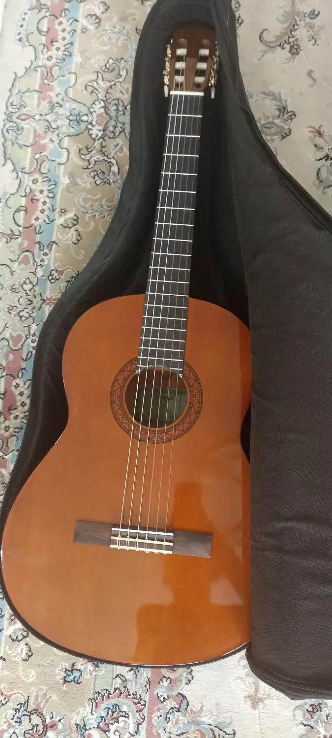 گیتار c40|گیتار، بیس، امپلیفایر|تهران, نظامآباد|دیوار