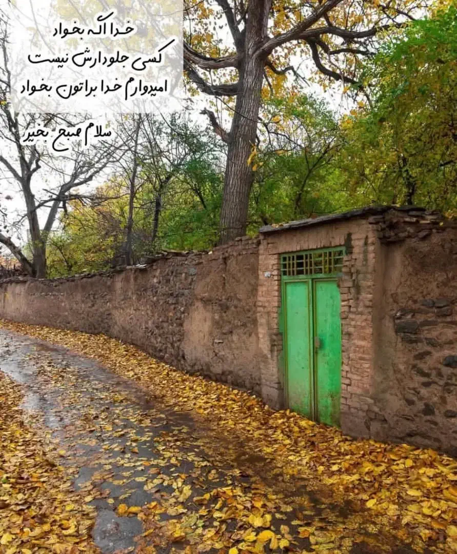 تورگشتجزیره‌ی‌قشم|تور و چارتر|درگهان, |دیوار