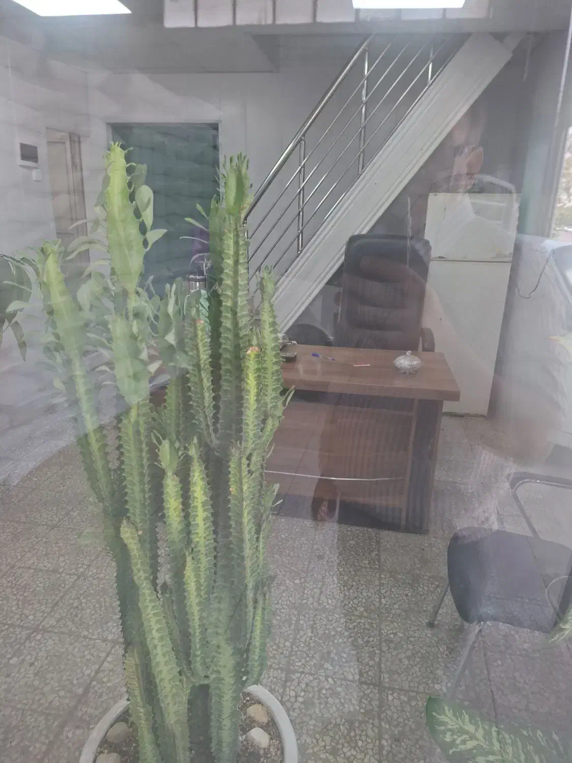 آگهی استخدام منشی|استخدام اداری و مدیریت|کهریزک, |دیوار