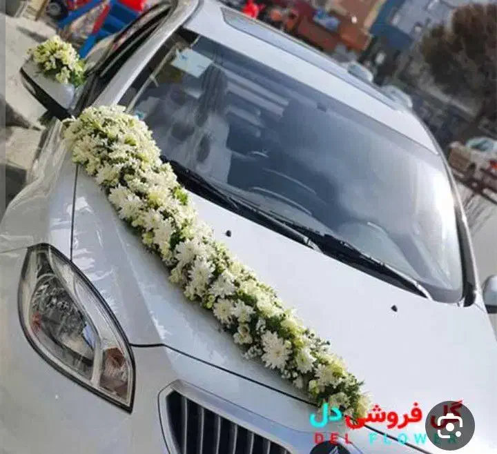 دیزاین|خدمات پذیرایی، مراسم|تبریز, |دیوار