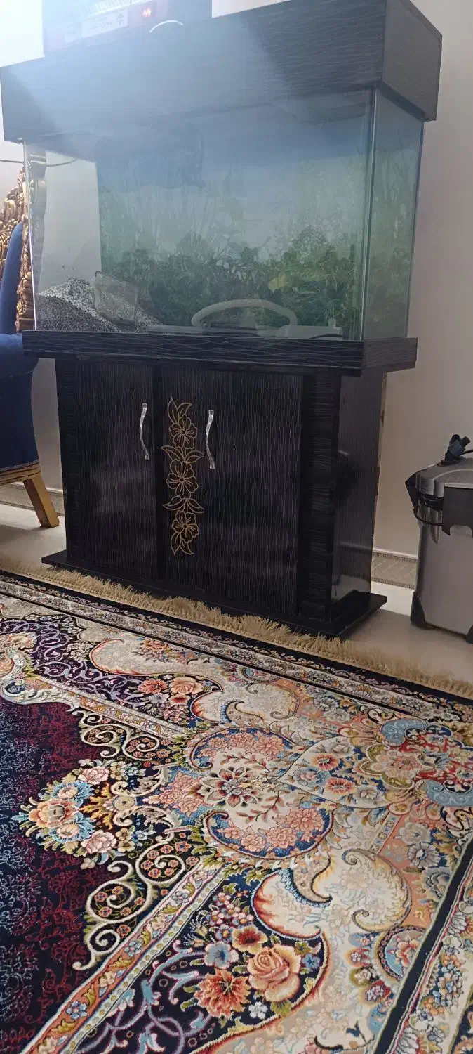 آکواریوم شیشه خم یک متری کمد دار|ماهی|پاکدشت, خاتون آباد|دیوار