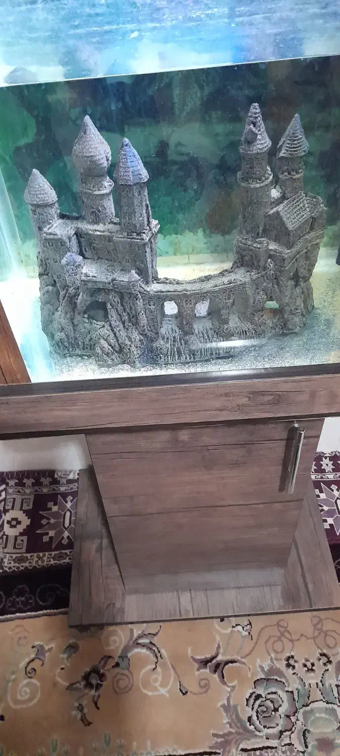 اکواریوم با لجن خوار طلایی و لوازم|ماهی|اسلامشهر, شهرک قائمیه|دیوار