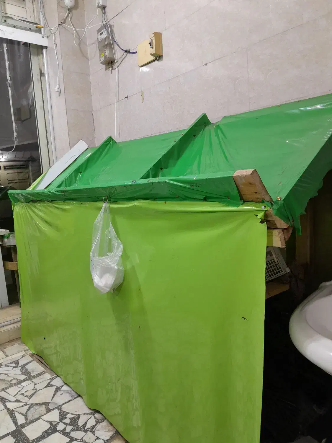 ۲عدد طبق میوه|فروشگاه و مغازه|رشت, پیرکلاچای|دیوار