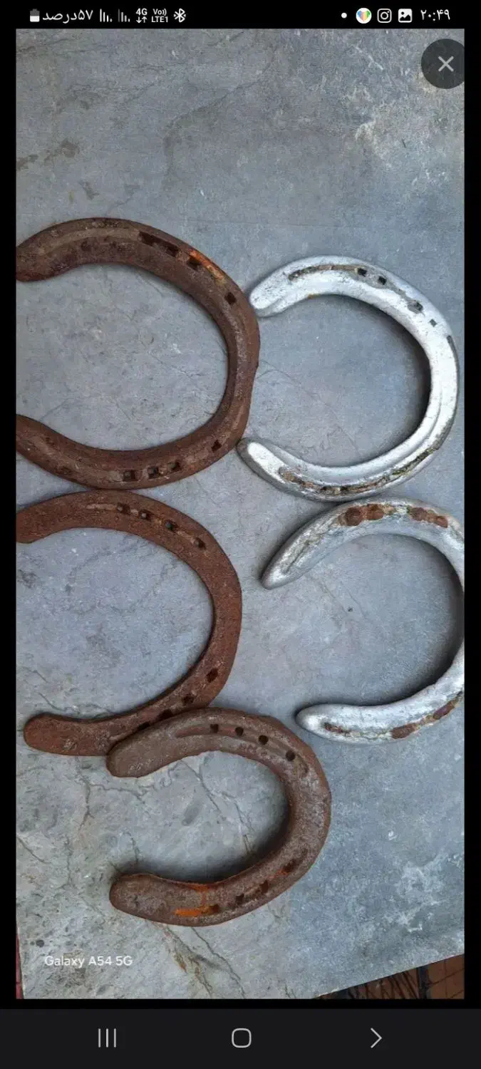 نعل کهنه اسب|اسب و تجهیزات اسب‌سواری|قزوین, |دیوار