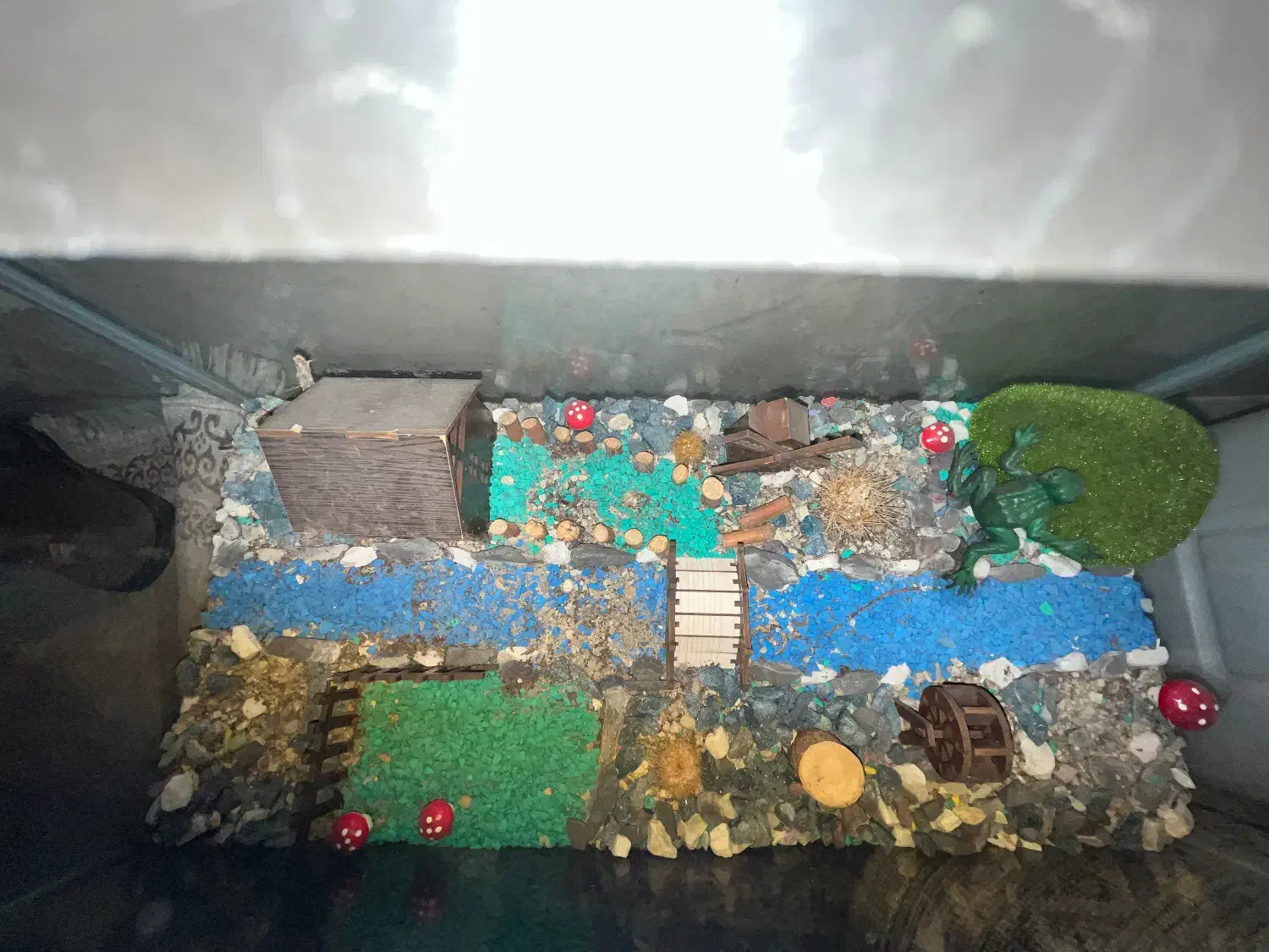 آکواریوم|لوازم جانبی حیوانات|مشگین شهر, |دیوار