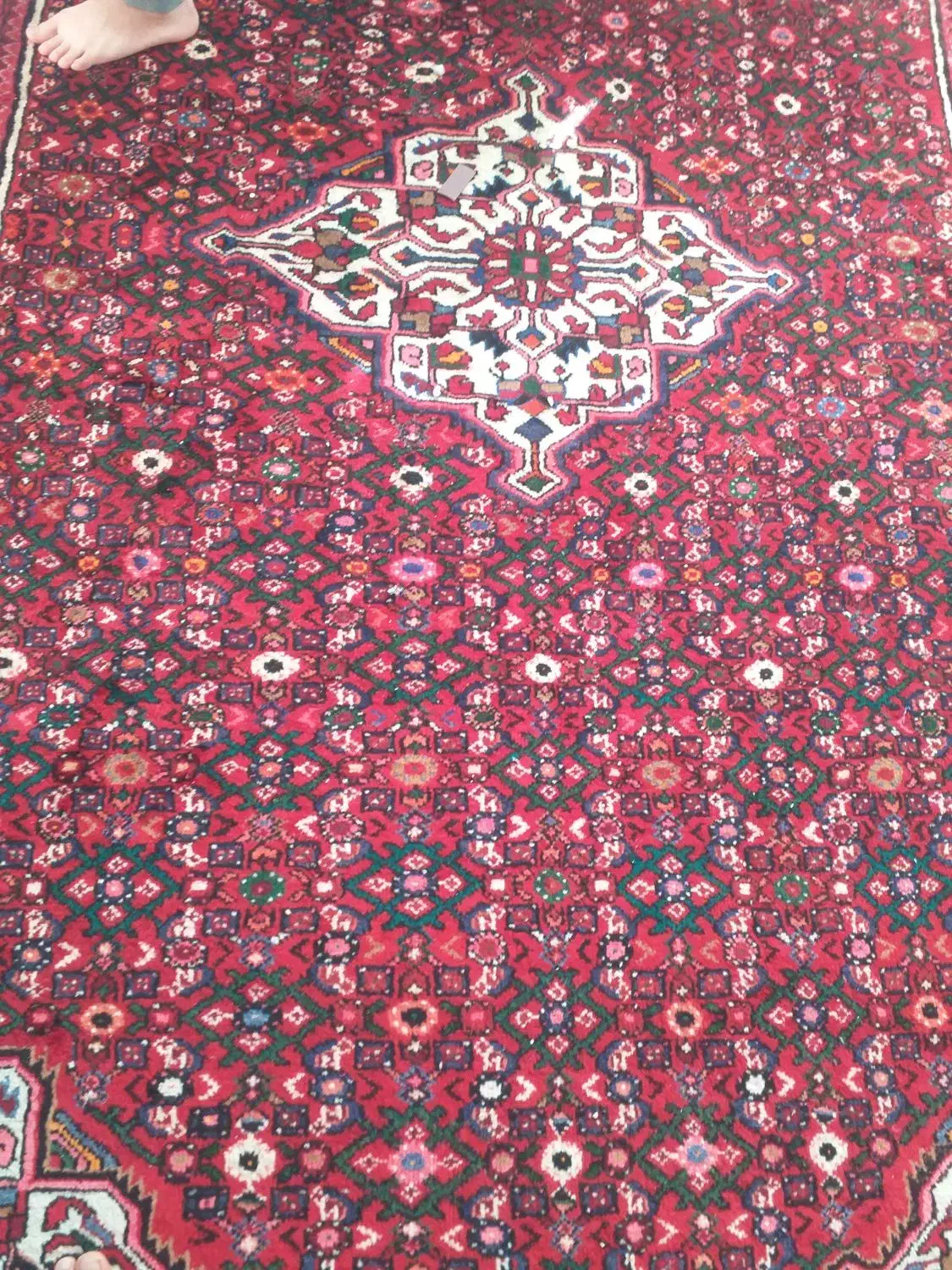 فرش دستبافت|فرش|همدان, |دیوار