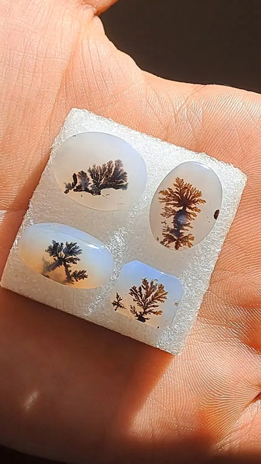 چهار عدد سنگ شجر قائنات|جواهرات|قم, علی آباد|دیوار