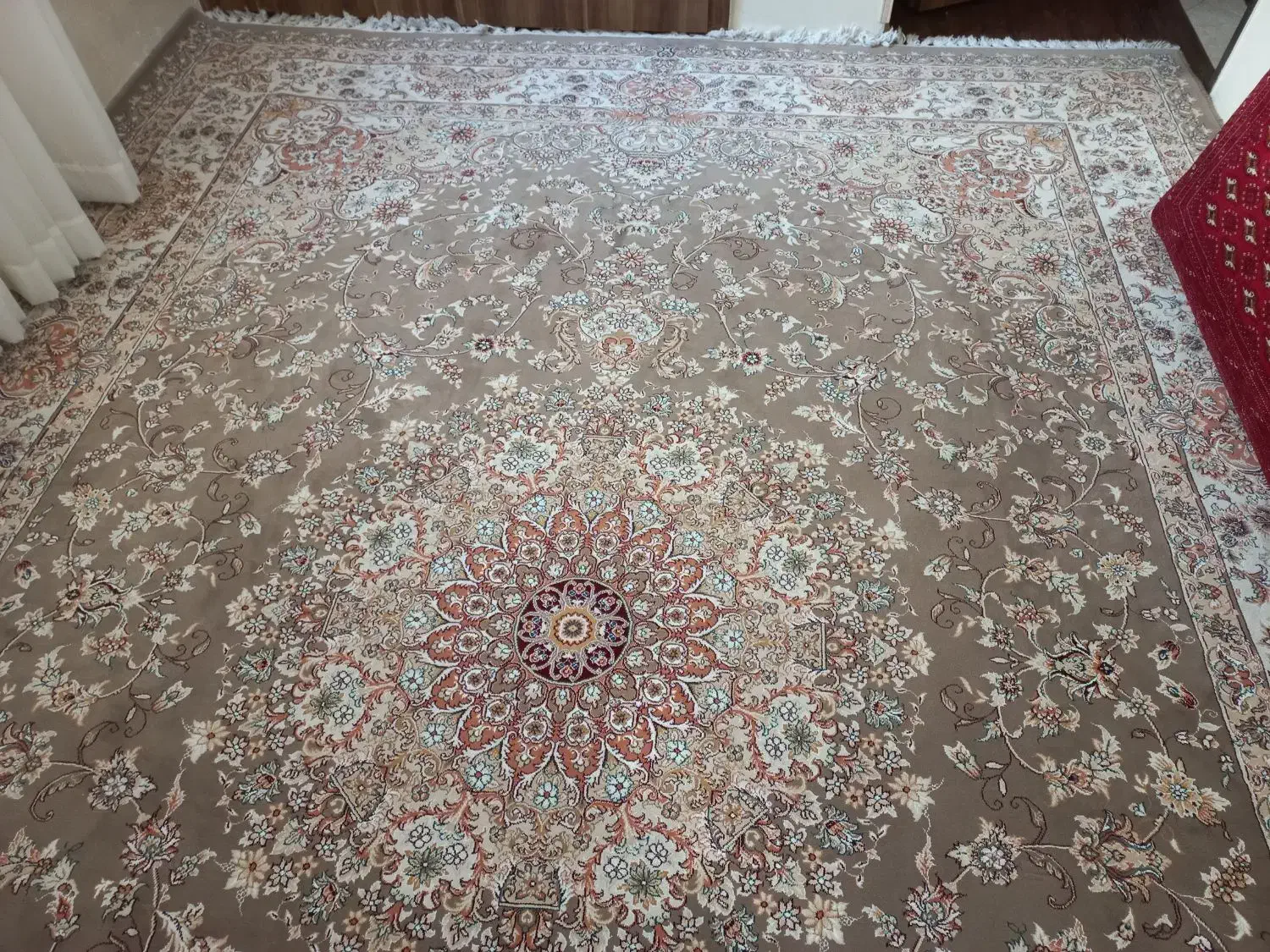 فرش12متری|فرش|مشهد, تربیت (صدف)|دیوار