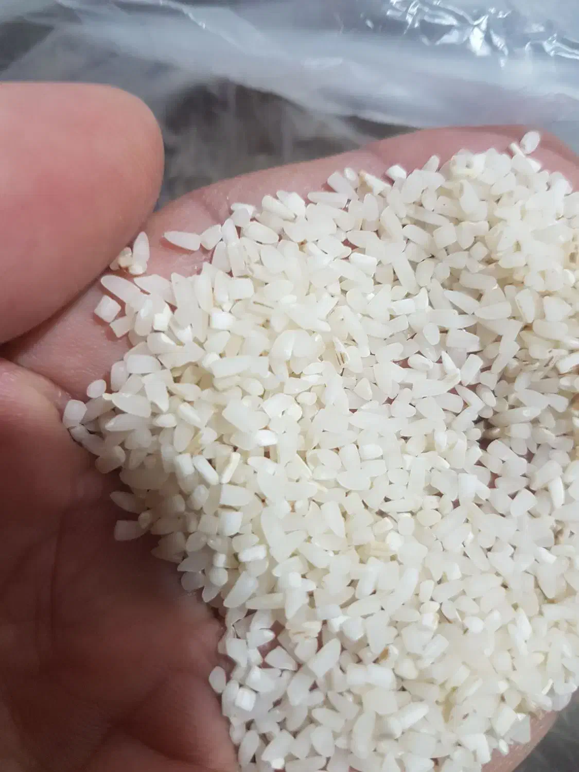 نیم دانه طارم هاشمی دابو|خوردنی و آشامیدنی|آمل, |دیوار