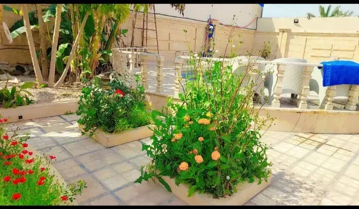 فردش باغ ویلای لاکچری دزفول|فروش خانه و ویلا|اهواز, کوی نیرو|دیوار