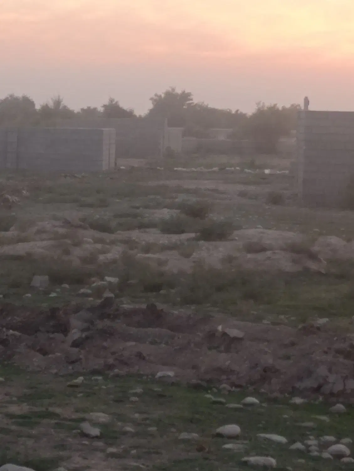 فروش زمین باغچه۵۰۰ متری ـ۲۷۰ میلیون ـ نهال بنجعفر|فروش دفتر صنعتی، کشاورزی، تجاری|دزفول, |دیوار