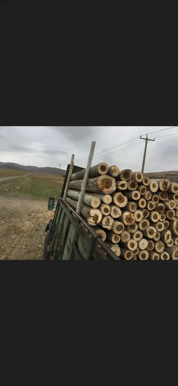 خرید و فروش چوب|خدمات باغبانی و درختکاری|تویسرکان, |دیوار