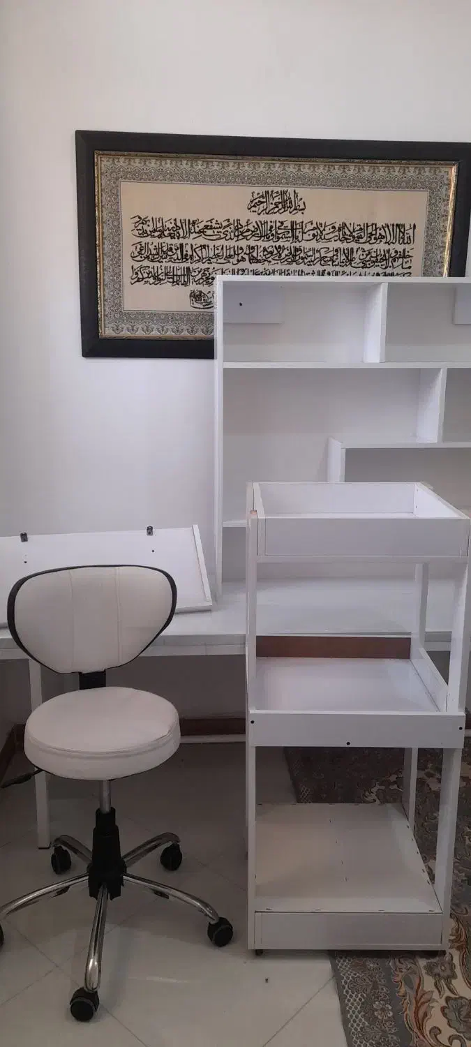 تخت صندلی|آرایشگاه و سالن‌های زیبایی|بهارستان, |دیوار