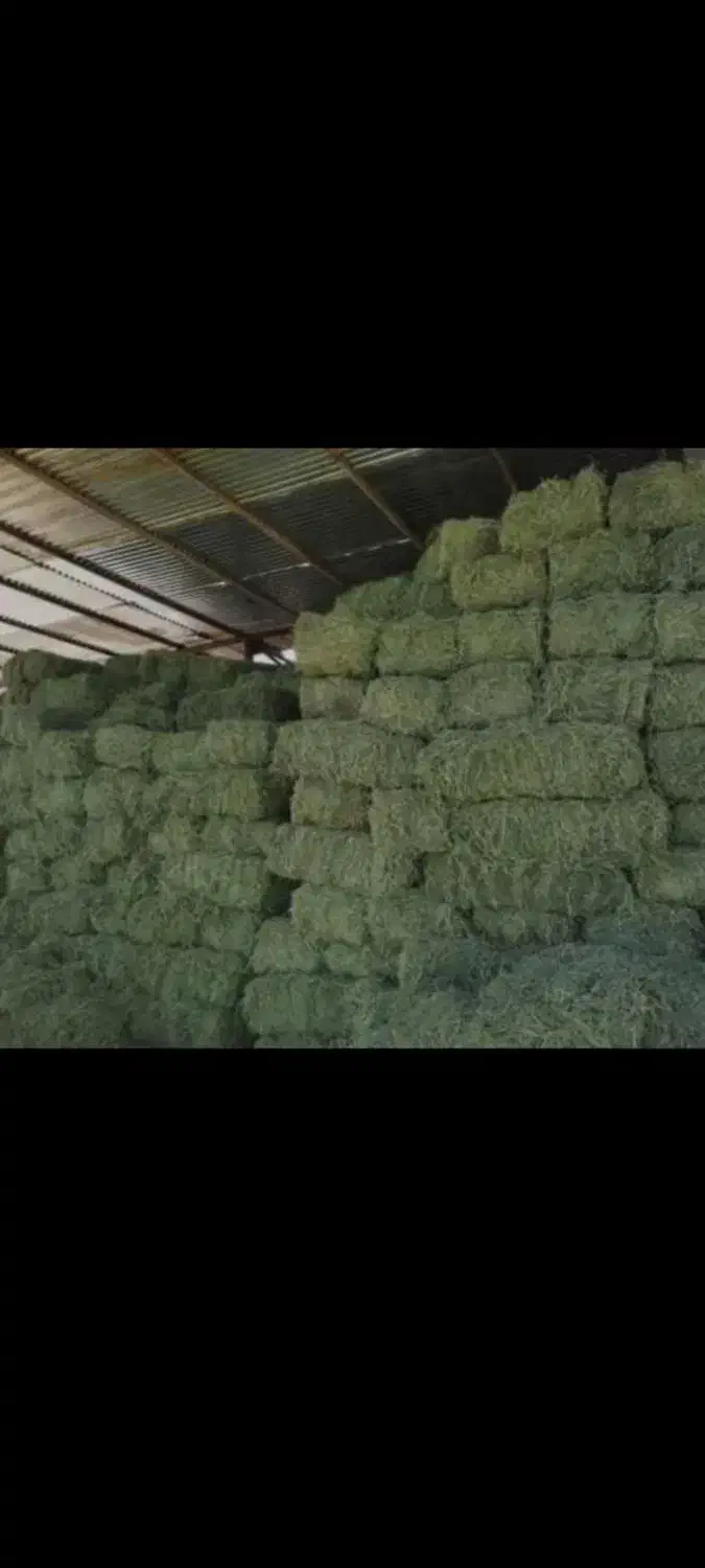 یونجه انباری|لوازم جانبی حیوانات|کنگاور, |دیوار