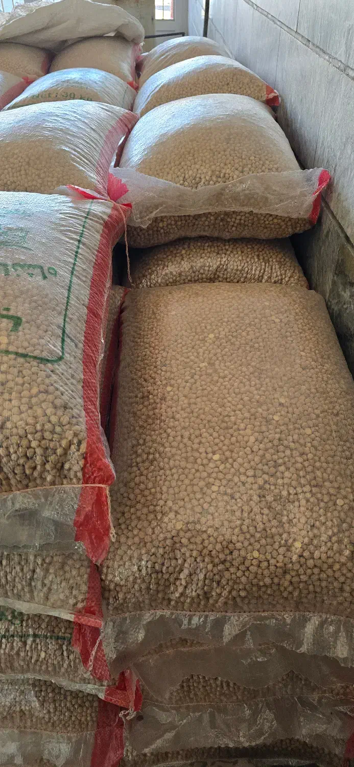 نخود سه خان درجه ۱|عمدهفروشی|نهاوند, |دیوار