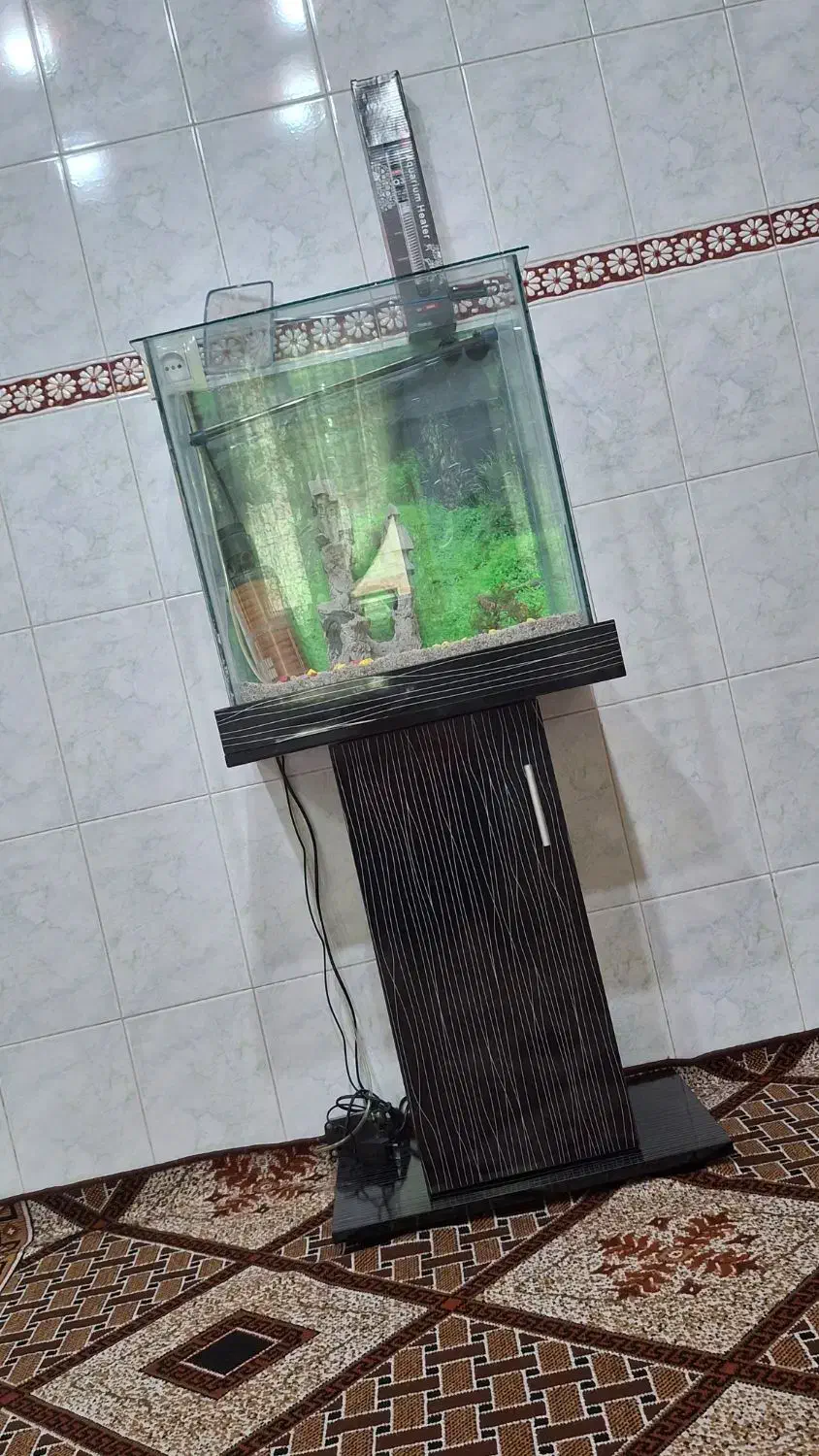 آکواریوم|ماهیگیری|فردیس, سرحدی|دیوار