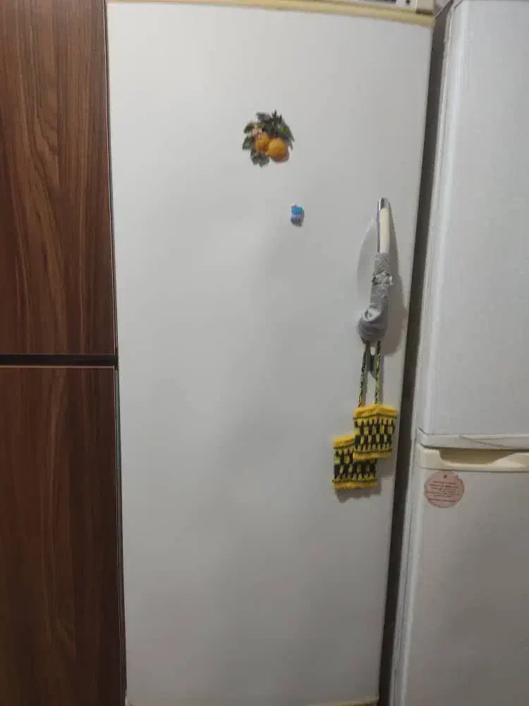 یخچال فریزر|یخچال و فریزر|رویان, |دیوار