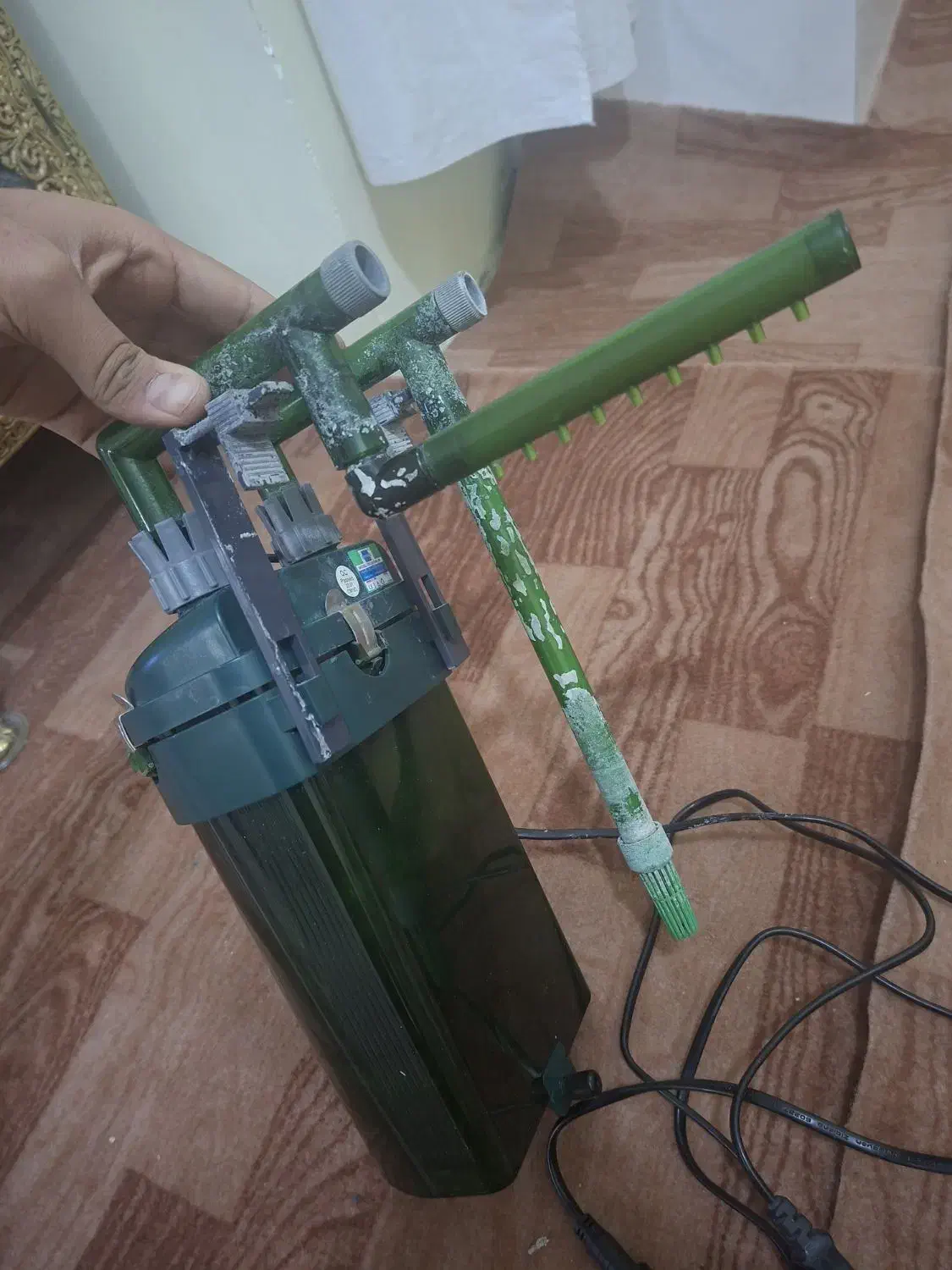 تسویه سطلی|ماهی|زنجان, |دیوار