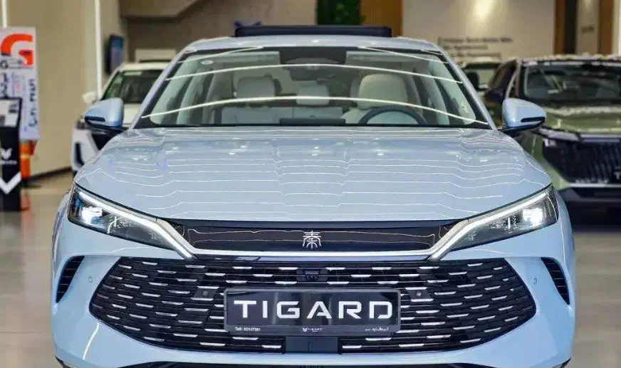 چین ال BYD|خودرو سواری و وانت|تهران, آبشار تهران (دریاچه)|دیوار