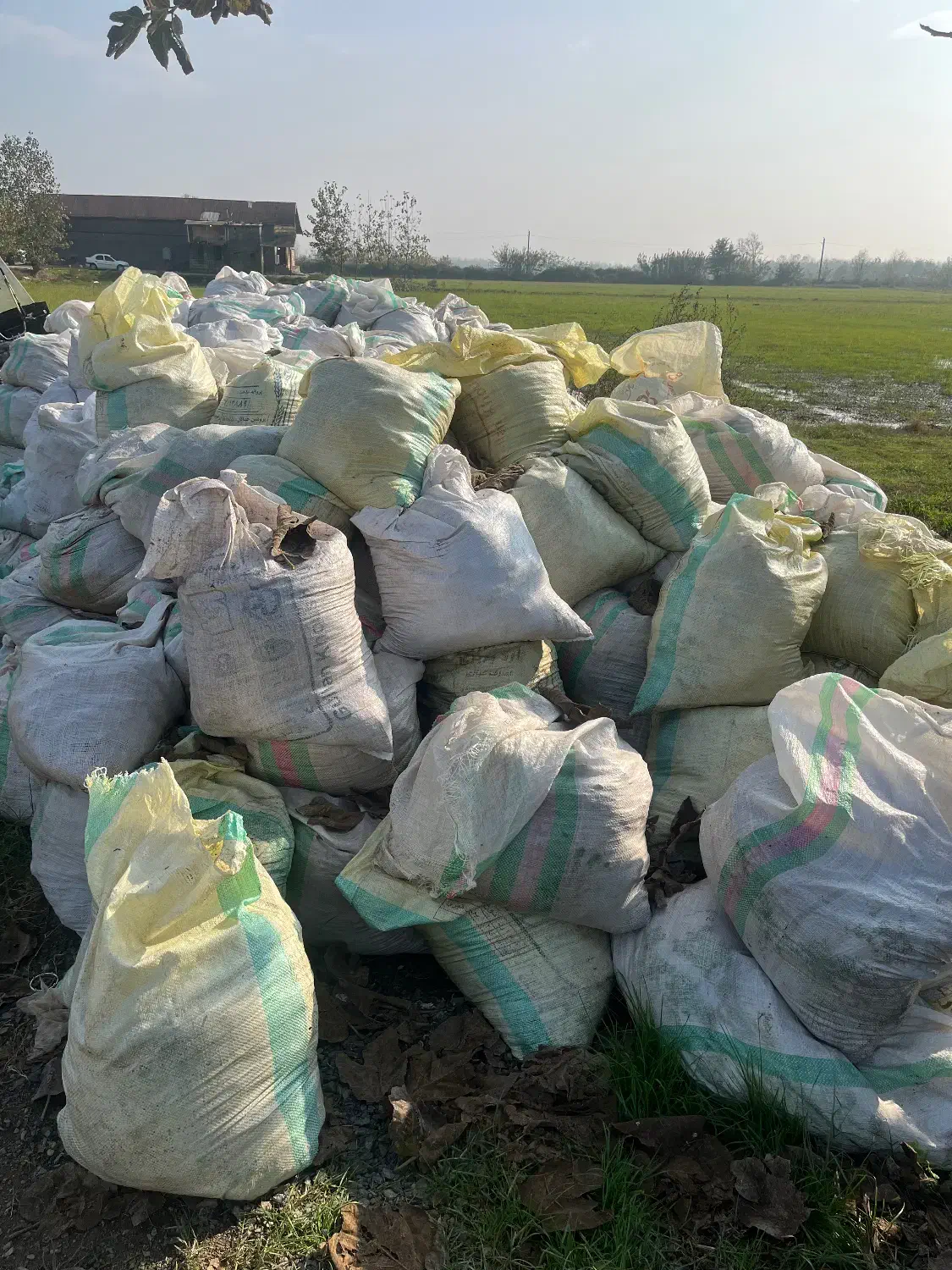 کود مرغی|خدمات باغبانی و درختکاری|لنگرود, |دیوار