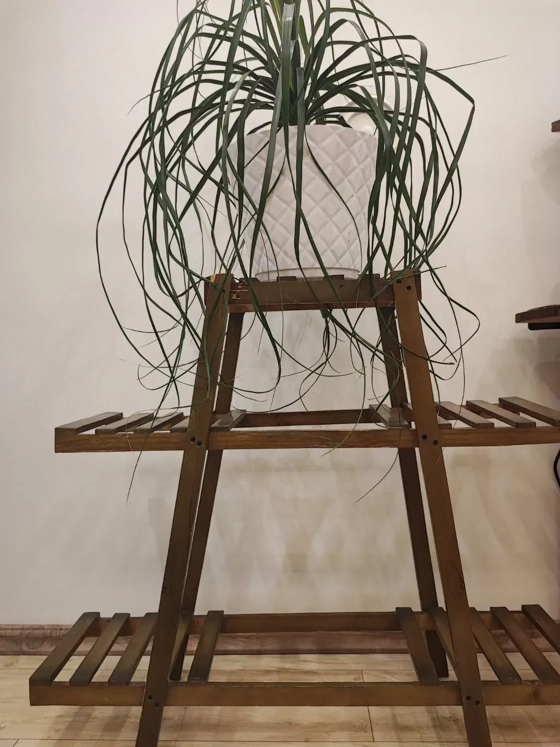 استند چوبی|کتابخانه، شلف، قفسه‌های دیواری|تبریز, |دیوار