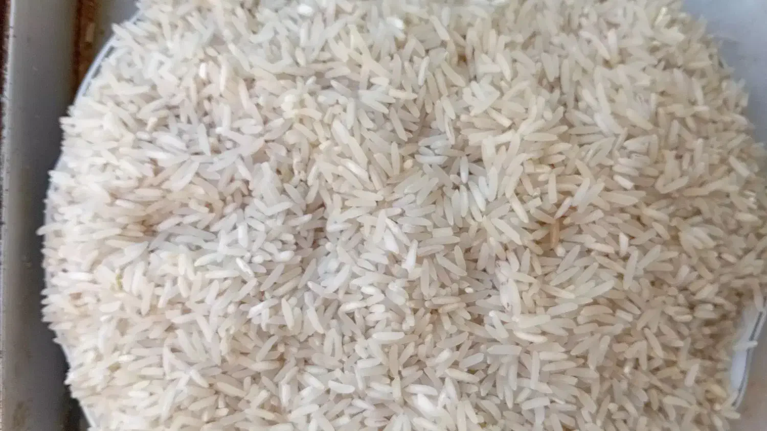 برنج فجر سوزنی|خوردنی و آشامیدنی|خان ببین, |دیوار